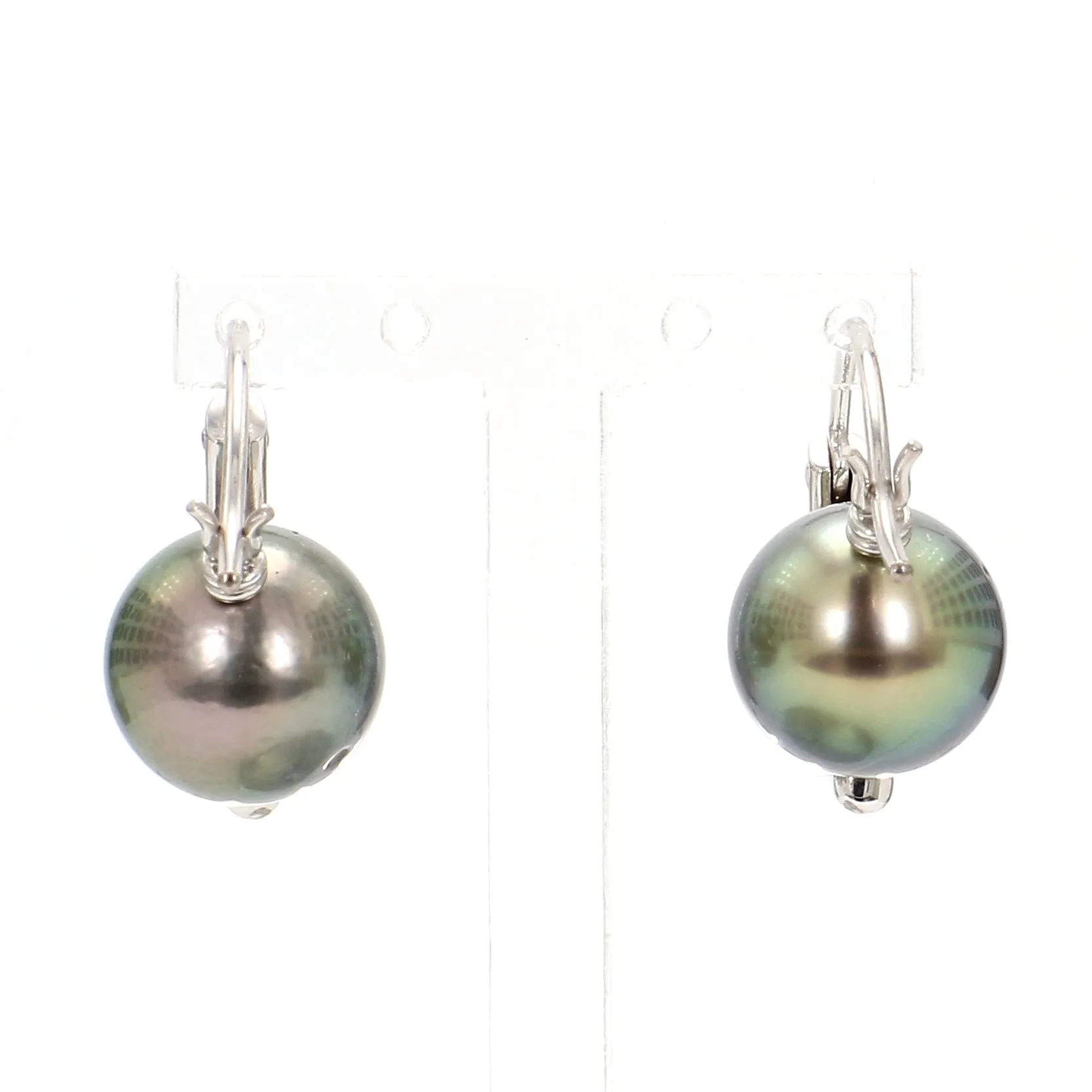 Tahitian Pearl Hoop Earrings